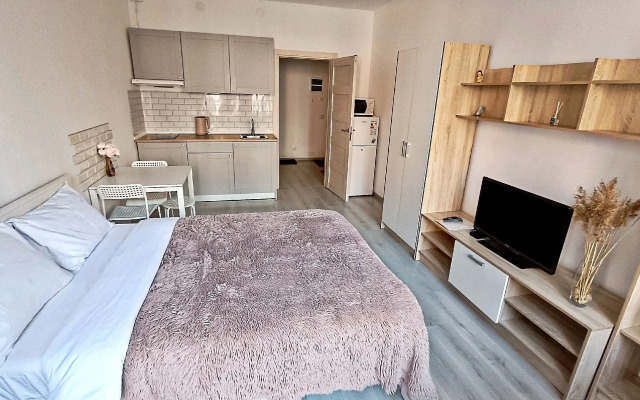 Studiya u Zaliva Flat