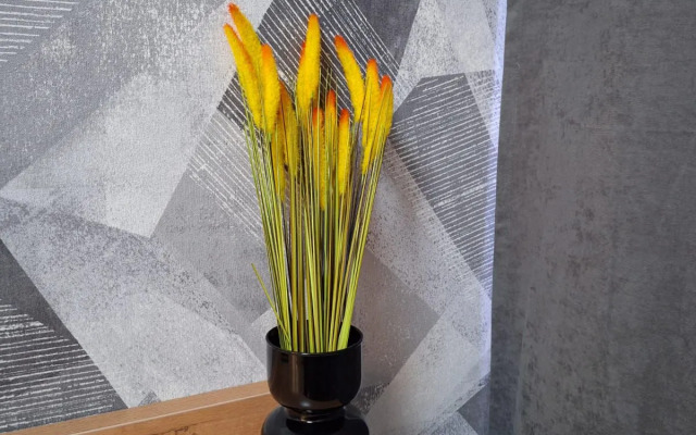 Квартира студия рядом с Аэропортом