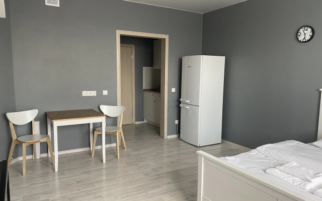 Апартаменты Домант на Фрунзе 49