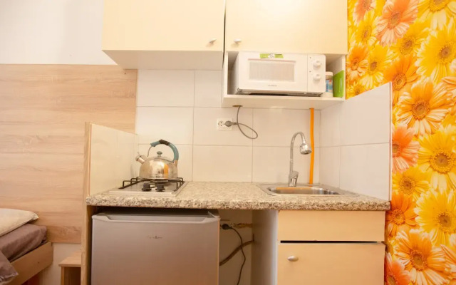 Апартаменты Владимирский