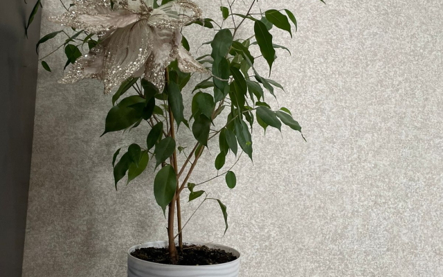 Квартира на Планете Рядом Аквапарк