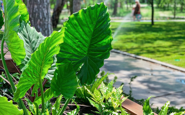 База отдыха Valen Park