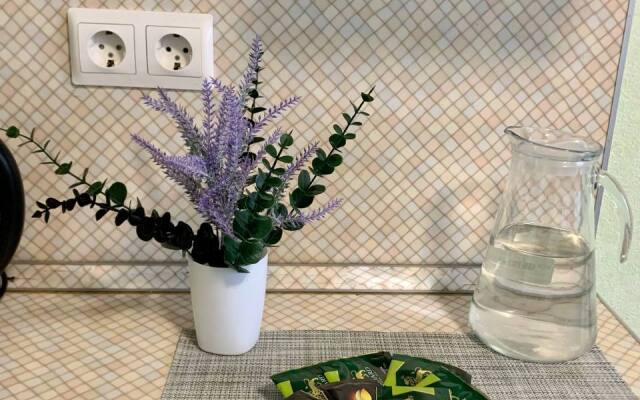 Studiya V Novostroyke Flat