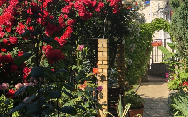 Chernomore Guest House