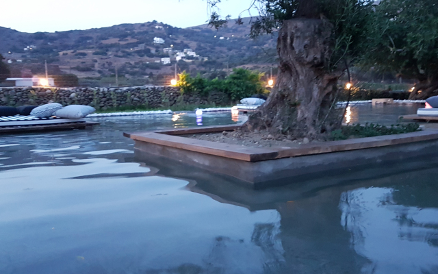 Ow Andros Luxury Suites Villa