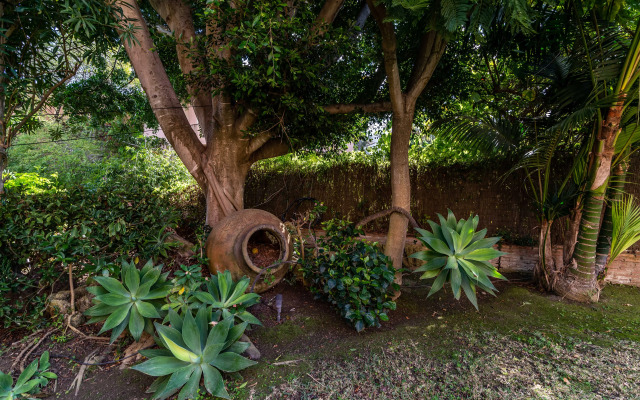 All About Villa Las Adelfas