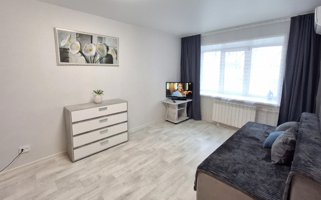 So Svetlym Remontom Flat