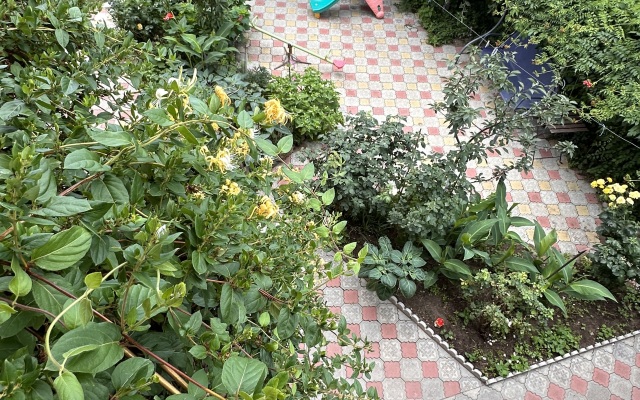 Miriya Guest House