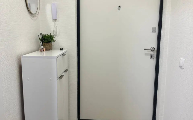 Квартира уютная евродвушка у м. пр. Большевиков