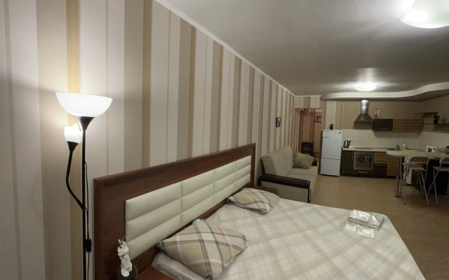 Апартаменты Саквояж Большая Подгорная 57