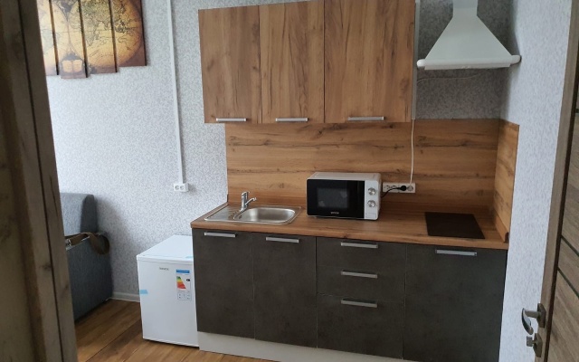 Apartment on Vorovskogo #6