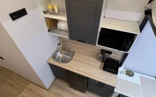 Апартаменты 4 на Чкаловском проспекте