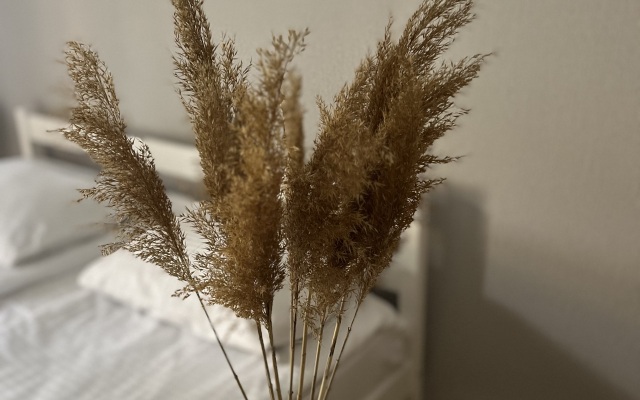 Astu Guest House