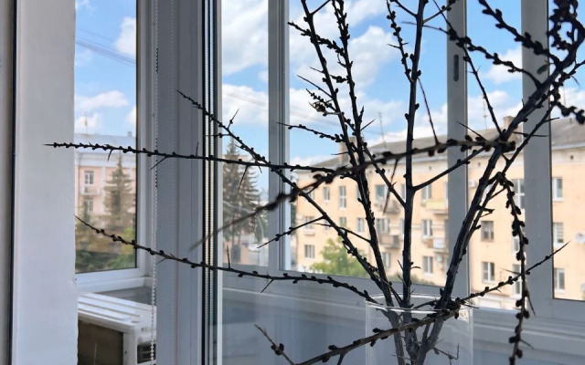 Квартира Уютная в Центре Города Тверь