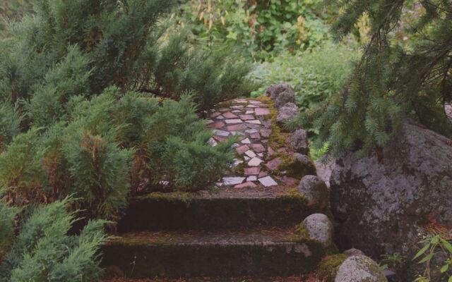 Хутор Старая Кууса