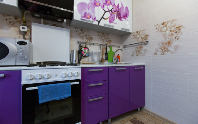 Na Ulitse Zhuravlyova 11/2 Apartments