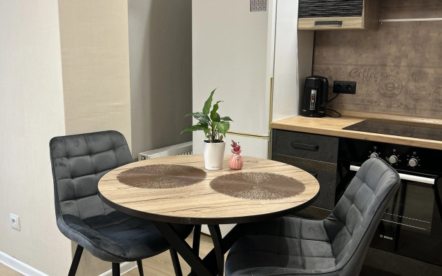 Studiya vozle Gornogo Vozdukha Flat