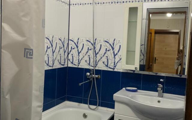 Апартаменты Элит в Центре города