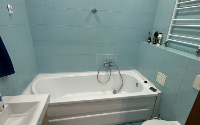 Studio na Nevskogo Flat