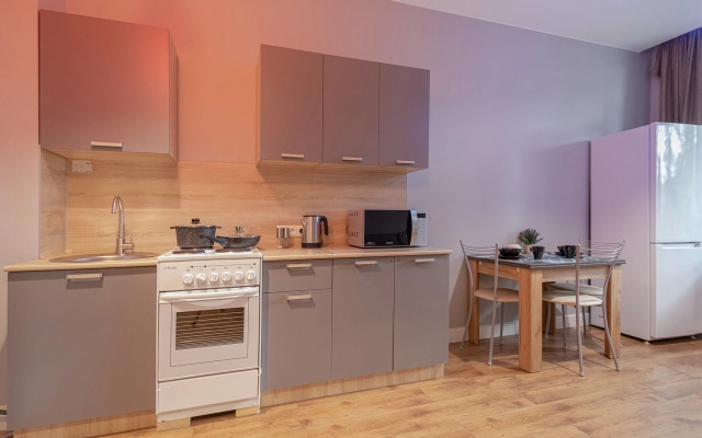 Ryadom s Aeroportom Sheremetyevo ot Comfort home Flat