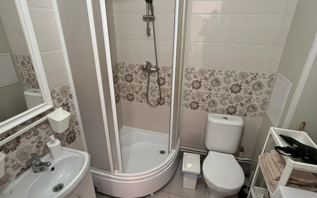 Студия Flamingo метро Ладожская