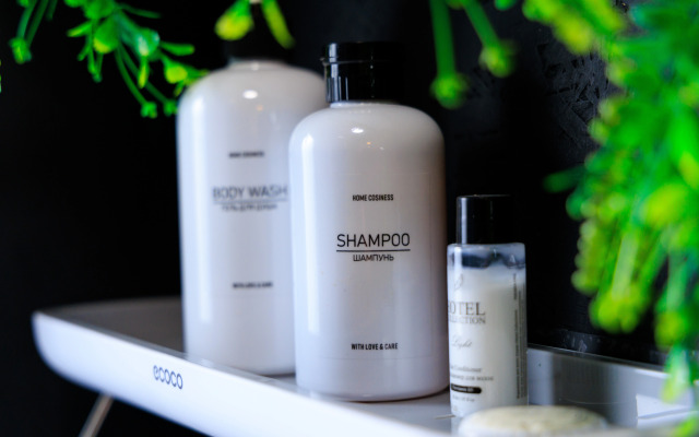 Частный дом 2 Японский домик