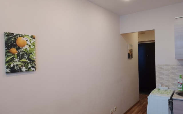 Na Evropeyskom prospekte 14 Apartments