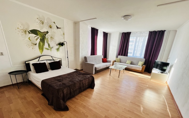 Bolshaya Kvartira V Tsentre Goroda Apartments