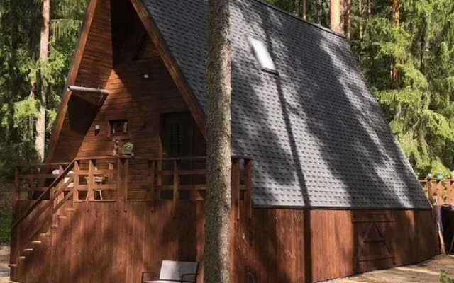 Частный дом Уютный дoм A-frame