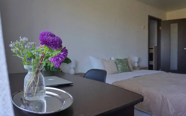 Квартира Однушка в историческом центре