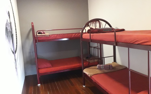 Quiik Cat Mini-Hotel