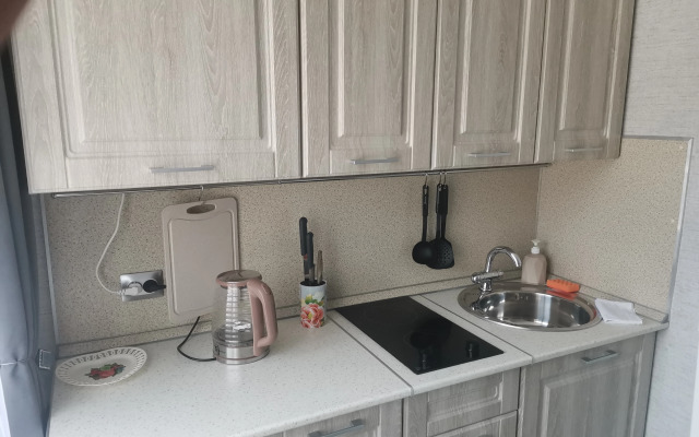 Na Pionerskoy 1 Flat