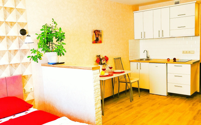 Studiya V Tsentre Voronezha Flat