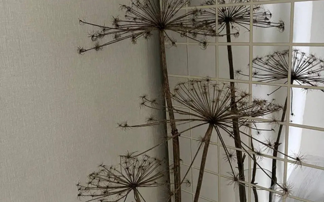 Квартира ПонартАпарт