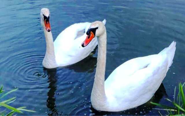 Квартира  MiHome Фантастические Закаты