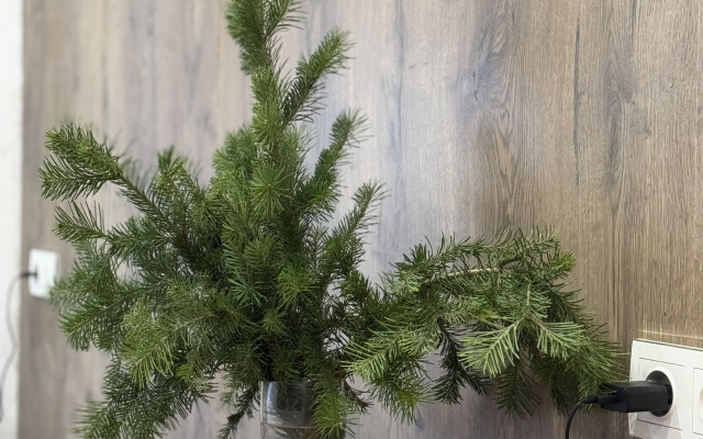 Частный дом с видом на лес и горы