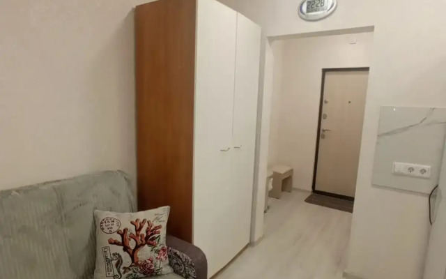 Квартира Татьяны Снежиной 42/1