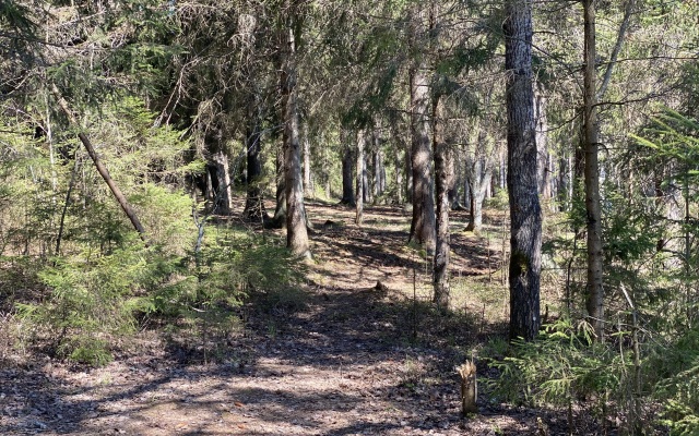 База отдыха  Вселуг