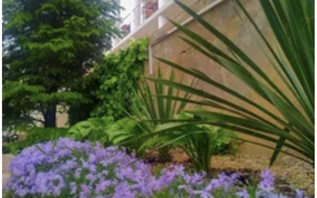 Гостевой дом 1000 Звёзд #2