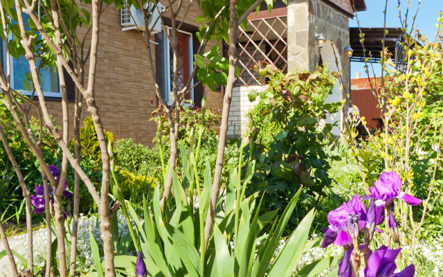 Lenivyij Delfin Guest house