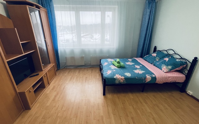 Dmitrieva 4 Apartments