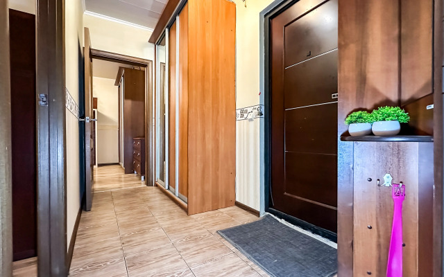 Uyutnaya Vozle Metro Domodedovskaya Flat