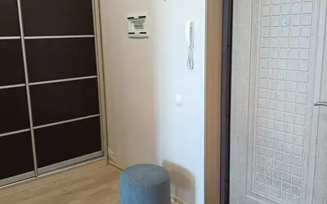 1-Komnatnaya Na Ulitse 1-Ya Perevoznaya Flat