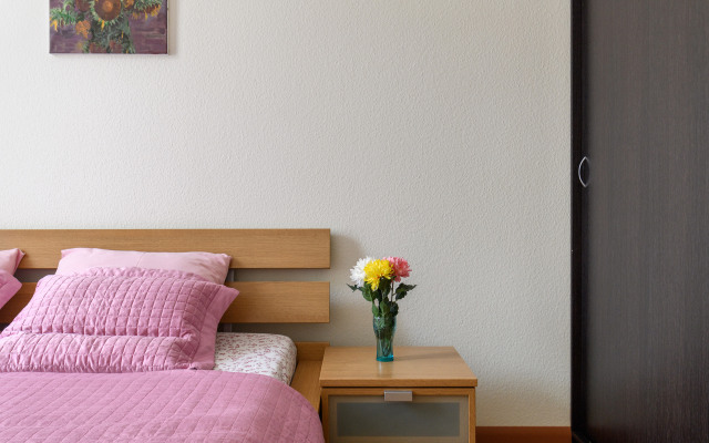 Апартаменты Домотелли центр