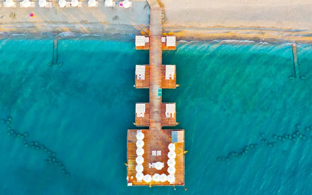 Juju Premier Palace 