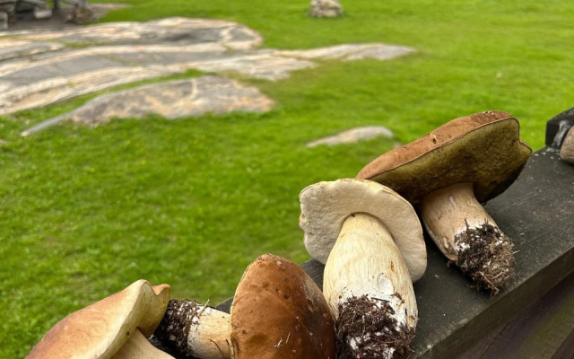 База отдыха Лопский берег