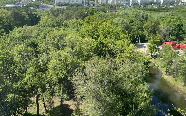 Квартира Видовая двушка у парка Лесоводов