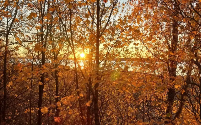 Частный дом Уница 300кв.м на первой линии озера Селигере