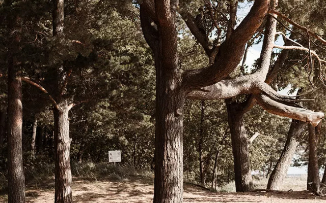 Отель Лайнер