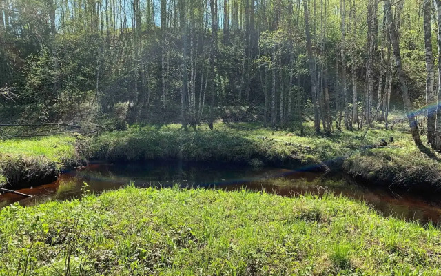 Дом с баней и камином